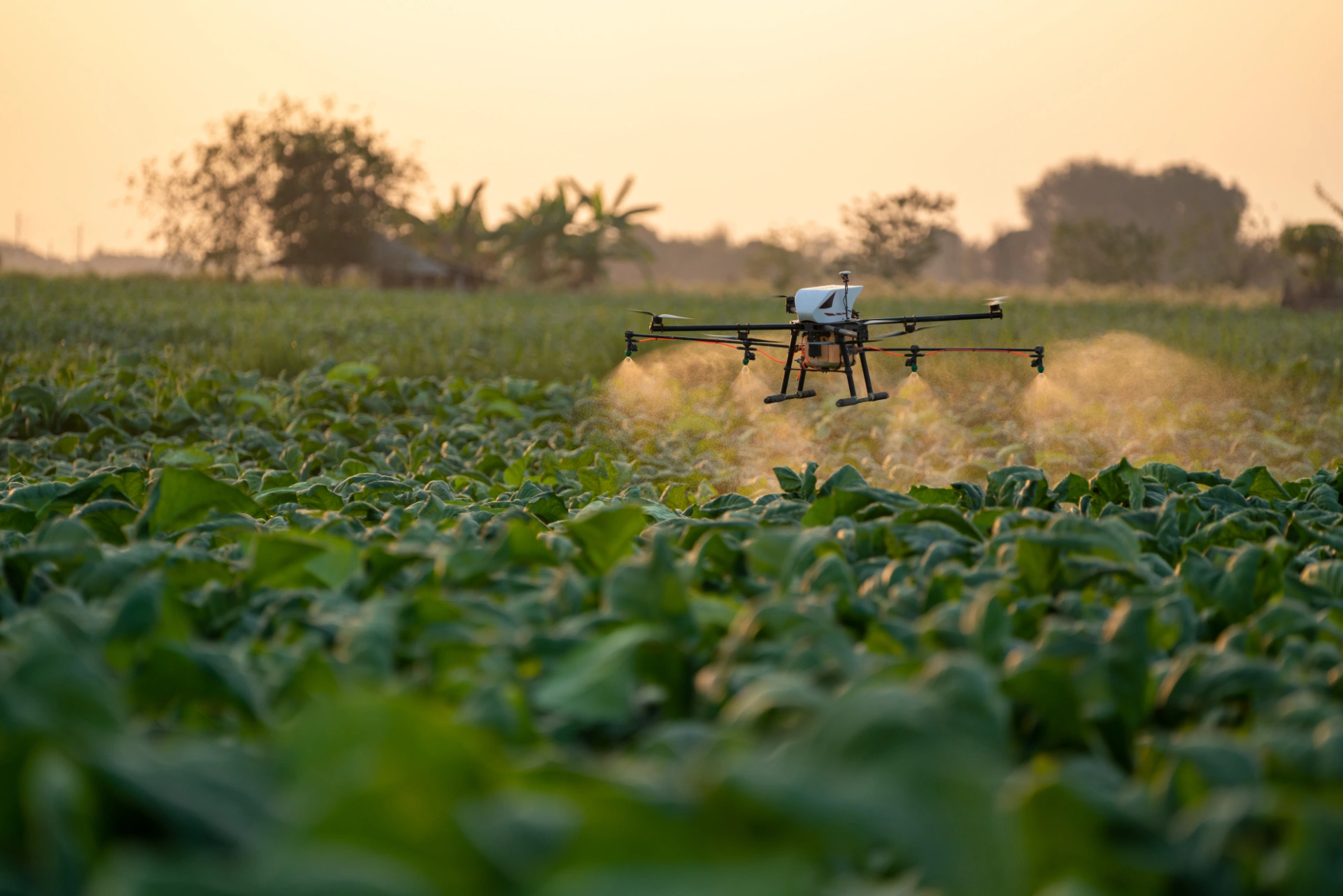 Drone agricolo intelligente per trattamenti di precisione, agevolabile con l'Iperammortamento 2026 in agricoltura 4.0.